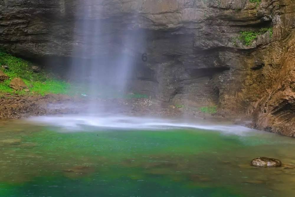 牛油果面包